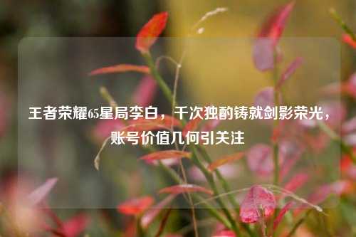王者荣耀65星局李白，千次独酌铸就剑影荣光，账号价值几何引关注