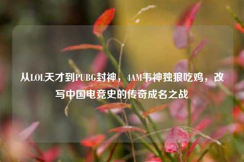 从LOL天才到PUBG封神,4AM韦神独狼吃鸡,改写中国电竞史的传奇成名之战