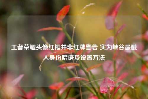 王者荣耀头像红框并非红牌警告 实为峡谷最戳人身份暗语及设置方法