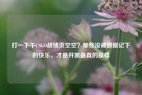 打一下午CSGO战绩页空空？那些没被数据记下的快乐，才是开黑最真的模样
