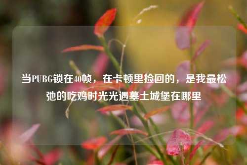 当PUBG锁在40帧，在卡顿里捡回的，是我最松弛的吃鸡时光光遇墓土城堡在哪里