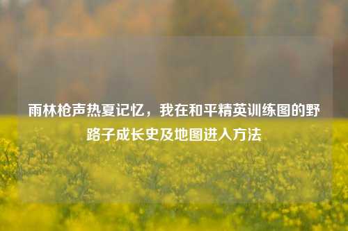 雨林枪声热夏记忆，我在和平精英训练图的野路子成长史及地图进入方法