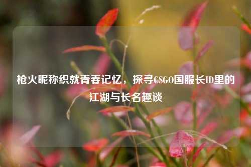 枪火昵称织就青春记忆，探寻CSGO国服长ID里的江湖与长名趣谈