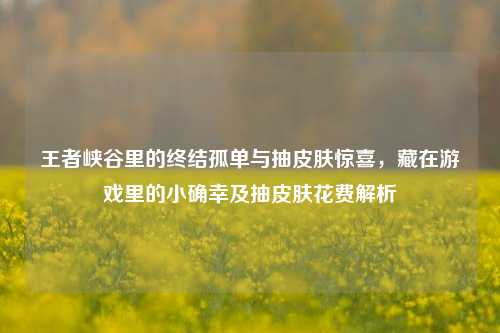 王者峡谷里的终结孤单与抽皮肤惊喜，藏在游戏里的小确幸及抽皮肤花费解析