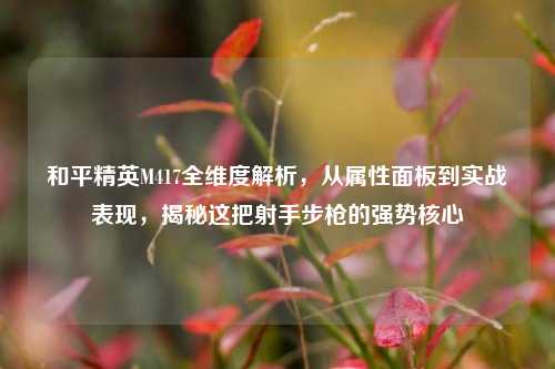 和平精英M417全维度解析，从属性面板到实战表现，揭秘这把射手步枪的强势核心