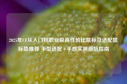 2025年CF从入门到职业级高性价比鼠标及适配鼠标垫推荐 手型适配+手感实测避坑指南
