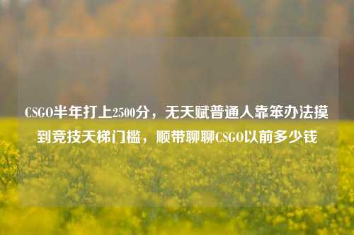 CSGO半年打上2500分，无天赋普通人靠笨办法摸到竞技天梯门槛，顺带聊聊CSGO以前多少钱