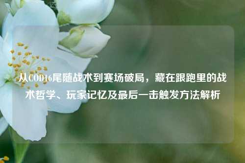 从COD16尾随战术到赛场破局，藏在跟跑里的战术哲学、玩家记忆及最后一击触发方法解析