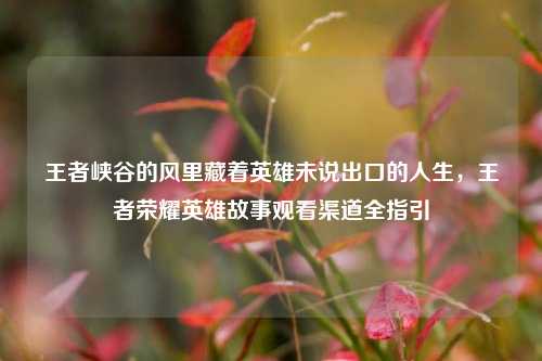 王者峡谷的风里藏着英雄未说出口的人生，王者荣耀英雄故事观看渠道全指引