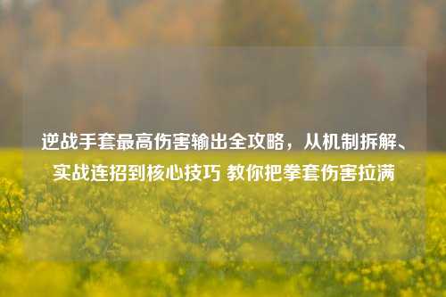 逆战手套最高伤害输出全攻略，从机制拆解、实战连招到核心技巧 教你把拳套伤害拉满