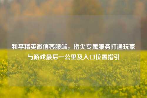 和平精英微信客服端，指尖专属服务打通玩家与游戏最后一公里及入口位置指引