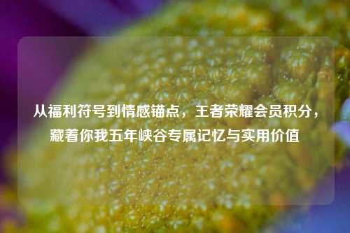 从福利符号到情感锚点，王者荣耀会员积分，藏着你我五年峡谷专属记忆与实用价值
