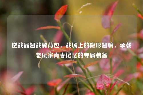 逆战晶翅战翼背包，战场上的隐形翅膀，承载老玩家青春记忆的专属装备