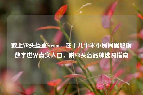 戴上VR头盔登Steam，在十几平米小房间里触摸数字世界真实入口，附VR头盔品牌选购指南