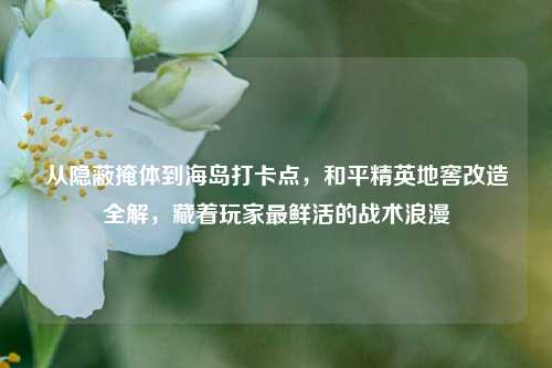 从隐蔽掩体到海岛打卡点，和平精英地窖改造全解，藏着玩家最鲜活的战术浪漫
