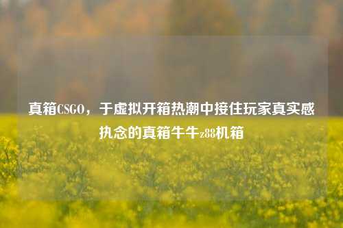 真箱CSGO，于虚拟开箱热潮中接住玩家真实感执念的真箱牛牛z88机箱