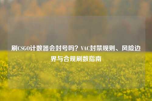 刷CSGO计数器会封号吗？VAC封禁规则、风险边界与合规刷数指南
