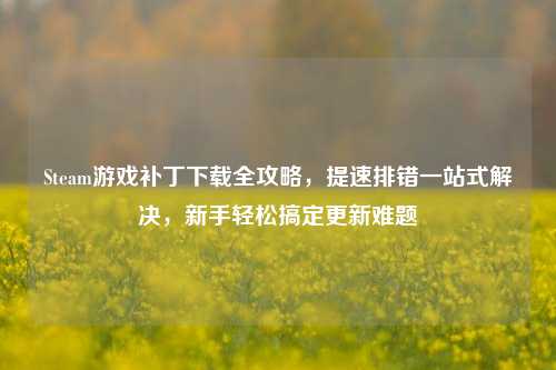 Steam游戏补丁下载全攻略,提速排错一站式解决,新手轻松搞定更新难题