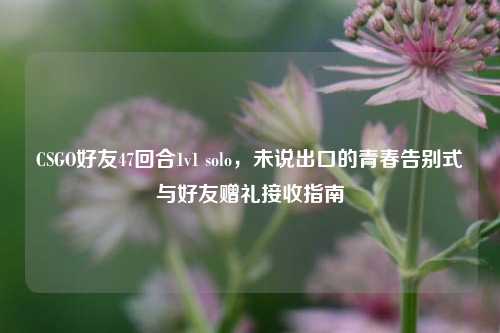 CSGO好友47回合1v1 solo,未说出口的青春告别式与好友赠礼接收指南
