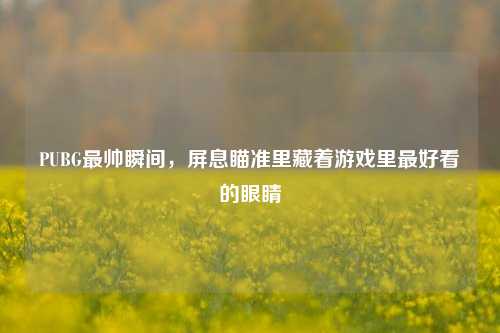 PUBG最帅瞬间，屏息瞄准里藏着游戏里最好看的眼睛