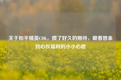 关于和平精英CDK，攒了好久的期待，藏着想拿到心仪福利的小小心愿