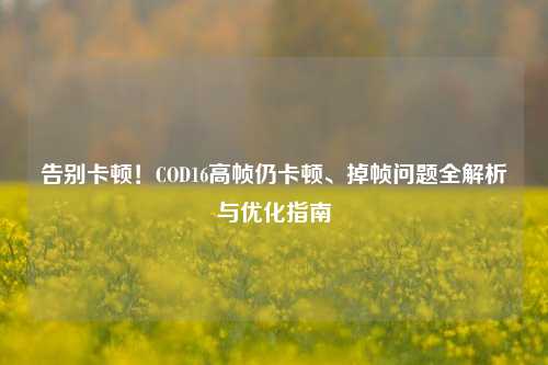告别卡顿！COD16高帧仍卡顿、掉帧问题全解析与优化指南