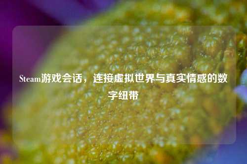 Steam游戏会话，连接虚拟世界与真实情感的数字纽带