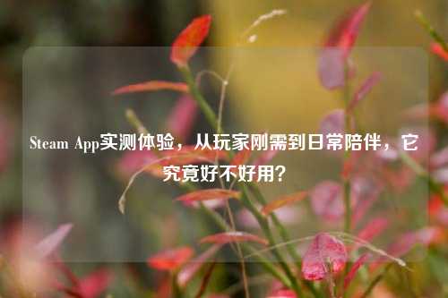 Steam App实测体验,从玩家刚需到日常陪伴,它究竟好不好用?