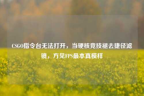 CSGO指令台无法打开，当硬核竞技褪去捷径滤镜，方见FPS最本真模样