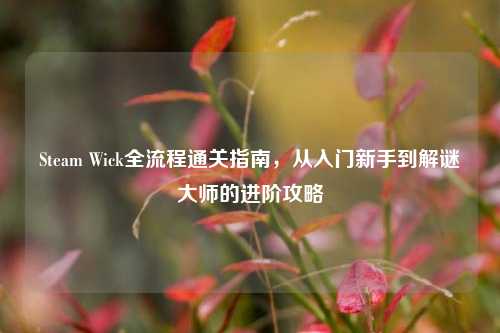 Steam Wick全流程通关指南，从入门新手到解谜大师的进阶攻略