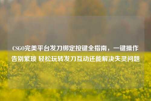 CSGO完美平台发刀绑定按键全指南，一键操作告别繁琐 轻松玩转发刀互动还能解决失灵问题