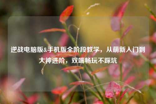 逆战电脑版&手机版全阶段教学，从萌新入门到大神进阶，双端畅玩不踩坑