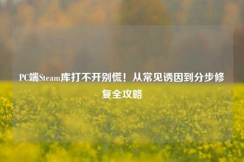 PC端Steam库打不开别慌！从常见诱因到分步修复全攻略