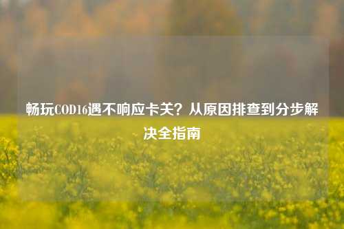 畅玩COD16遇不响应卡关？从原因排查到分步解决全指南