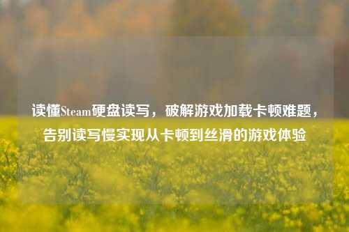 读懂Steam硬盘读写,破解游戏加载卡顿难题,告别读写慢实现从卡顿到丝滑的游戏体验