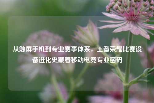 从触屏手机到专业赛事体系，王者荣耀比赛设备进化史藏着移动电竞专业密码