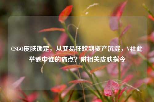CSGO皮肤锁定，从交易狂欢到资产沉淀，V社此举戳中谁的痛点？附相关皮肤指令