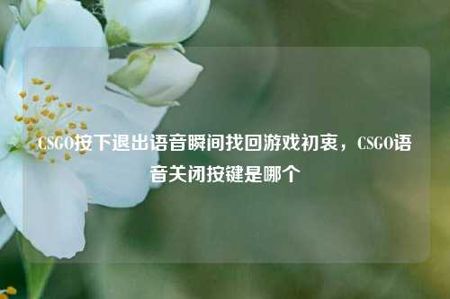 CSGO按下退出语音瞬间找回游戏初衷,CSGO语音关闭按键是哪个