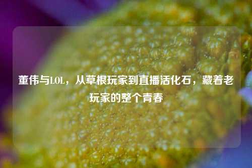 董伟与LOL，从草根玩家到直播活化石，藏着老玩家的整个青春