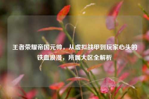 王者荣耀帝国元帅，从虚拟战甲到玩家心头的铁血浪漫，所属大区全解析