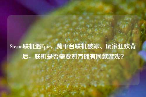 Steam联机遇Epic,跨平台联机破冰、玩家狂欢背后,联机是否需要对方拥有同款游戏?
