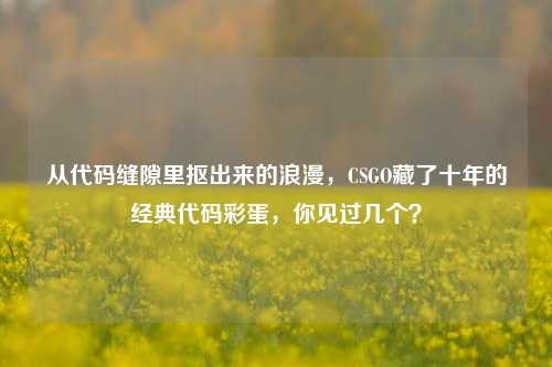 从代码缝隙里抠出来的浪漫，CSGO藏了十年的经典代码彩蛋，你见过几个？
