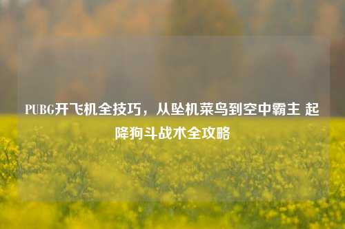 PUBG开飞机全技巧，从坠机菜鸟到空中霸主 起降狗斗战术全攻略