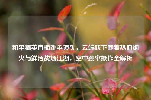 和平精英直播跳伞镜头,云端跃下藏着热血烟火与鲜活战场江湖,空中跳伞操作全解析