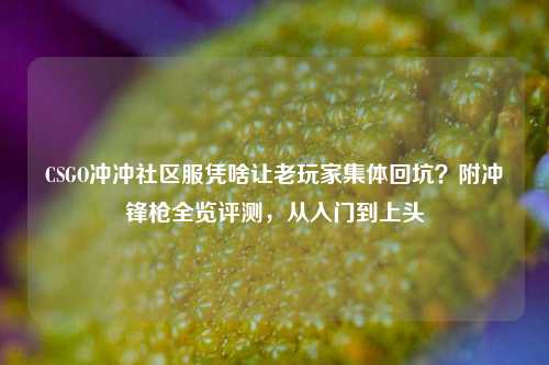 CSGO冲冲社区服凭啥让老玩家集体回坑？附冲锋枪全览评测，从入门到上头