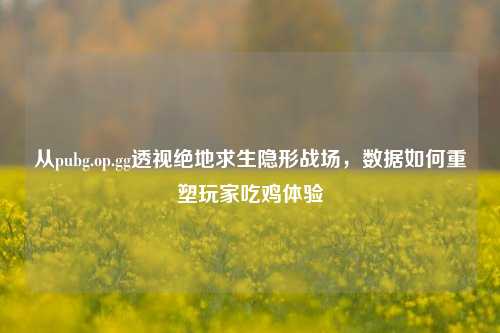 从pubg.op.gg透视绝地求生隐形战场，数据如何重塑玩家吃鸡体验