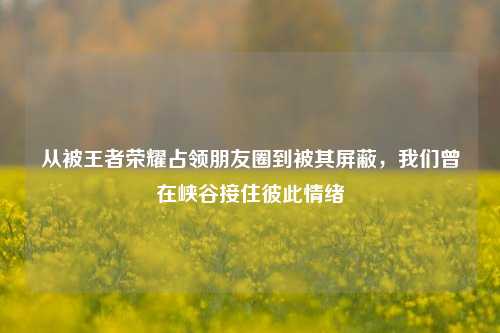 从被王者荣耀占领朋友圈到被其屏蔽，我们曾在峡谷接住彼此情绪