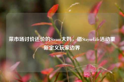 菜市场讨价还价的Steam大妈，借StayorLife活动重新定义玩家边界