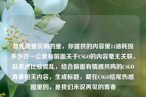 首先需要说明的是，你提供的内容里14油耗投多少钱一公里和前面关于CSGO的内容毫无关联，且表述比较混乱，结合前面有情感共鸣的CSGO青春相关内容，生成标题，藏在CSGO结尾伤感图里的，是我们未说再见的青春