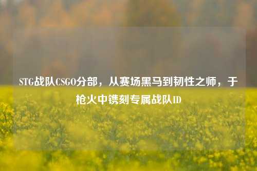 STG战队CSGO分部，从赛场黑马到韧性之师，于枪火中镌刻专属战队ID